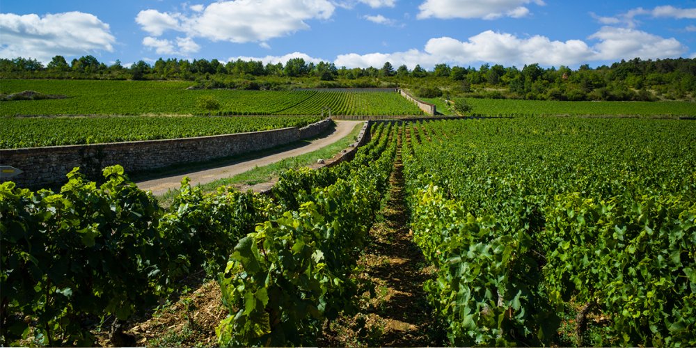 Appellation Echézeaux Grand Cru