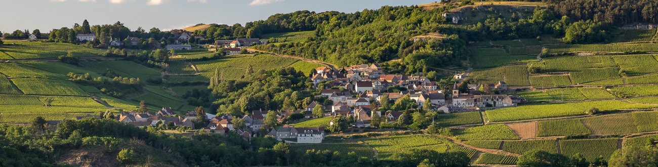 Appellation Maranges