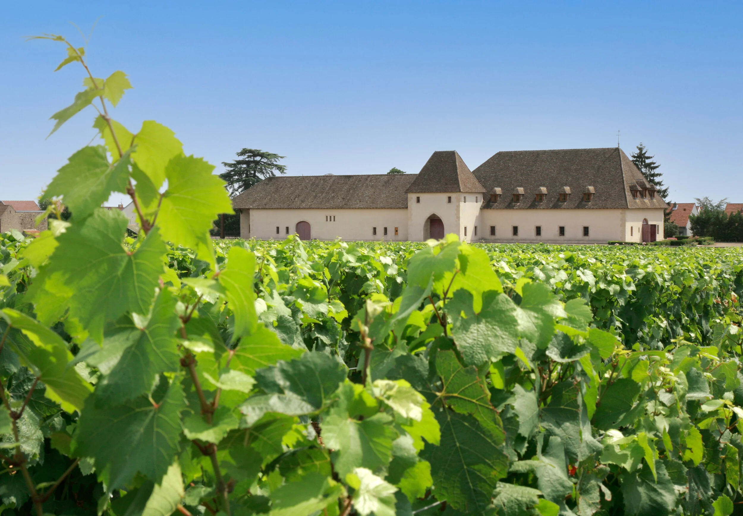 Appellation Marsannay