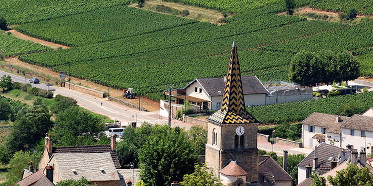 Appellation Pernand-Vergelesses 1er Cru