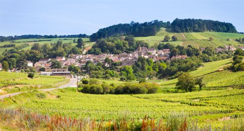 Appellation Pernand-Vergelesses